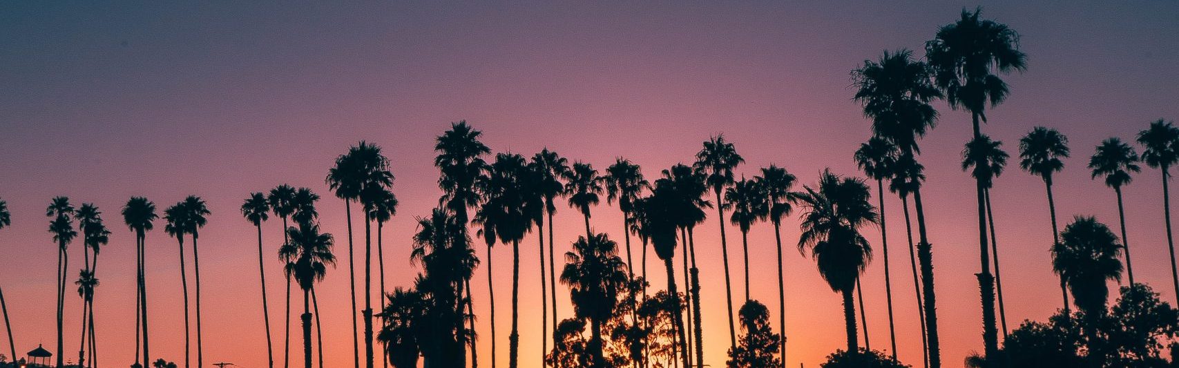 oc-gonzalez-A-11N8ItHZo-unsplash-scaled palm trees at sunset